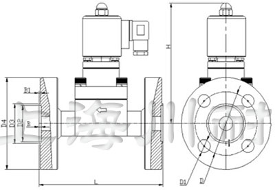 高壓法蘭連接電磁閥結(jié)構(gòu)圖